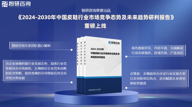 环境分析、市场供需态势及未来前景预测AG旗舰厅app皮鞋分析报告：发展(图5)