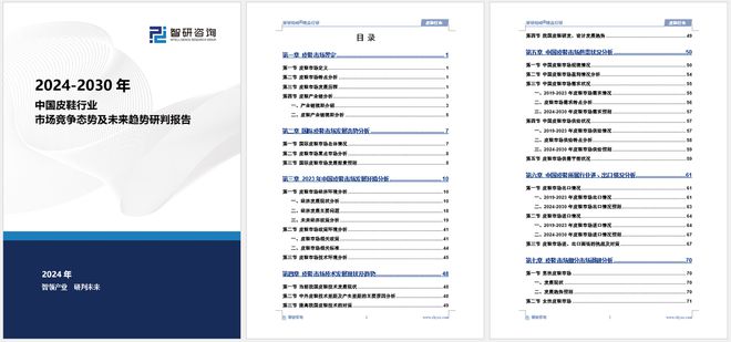 环境分析、市场供需态势及未来前景预测AG旗舰厅app皮鞋分析报告：发展(图6)